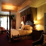 Sara Arndt Interior Design